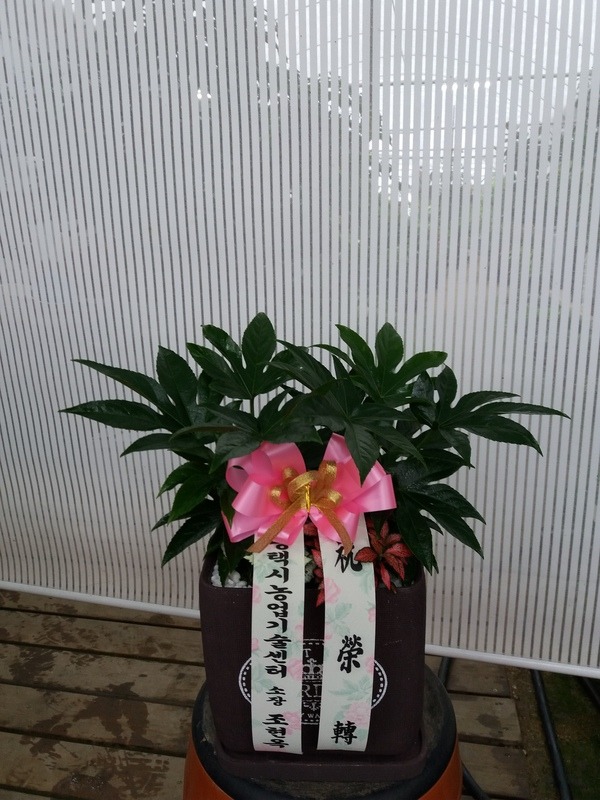 7��11��(ȭ����)