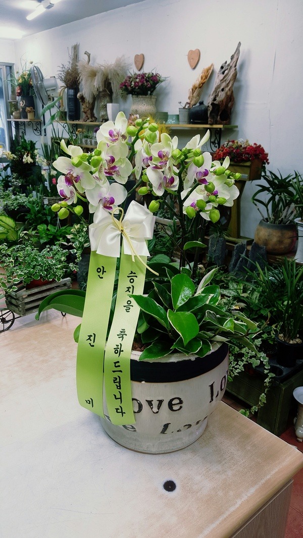 7��11��(ȭ����)