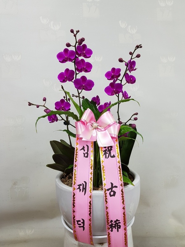 10��30��(������)