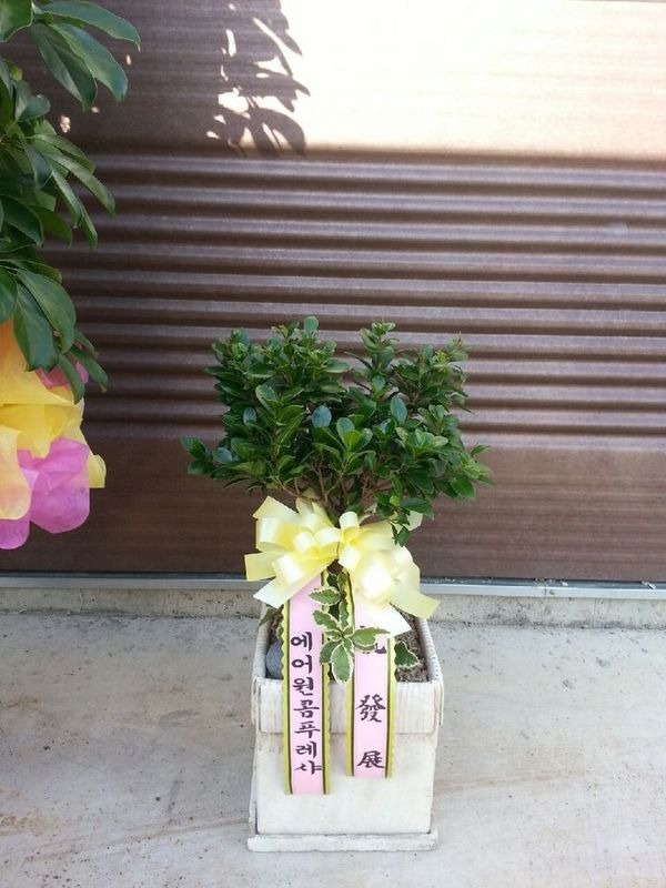 10��30��(������)