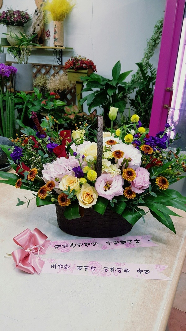 11��9��(�����)