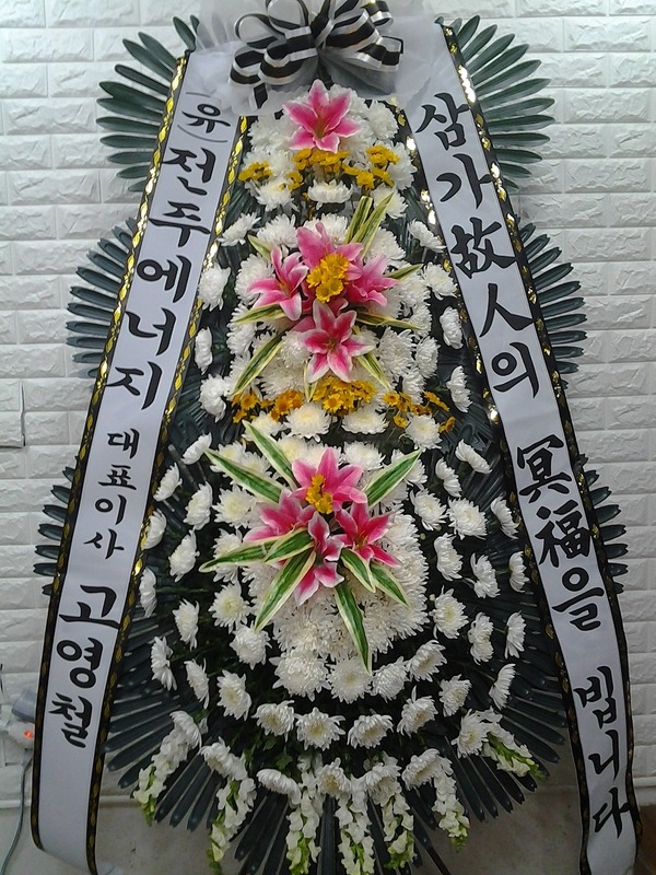 11��9��(�����)