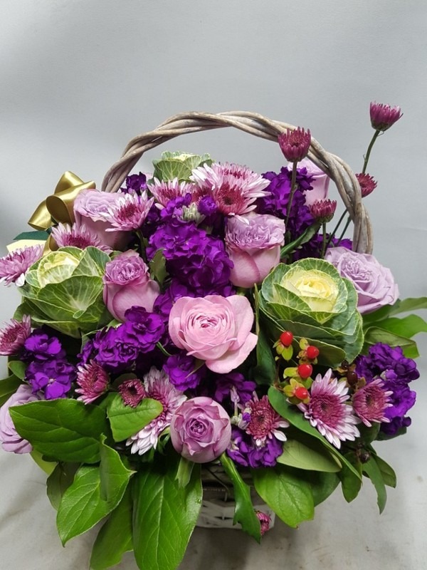 11��9��(�����)