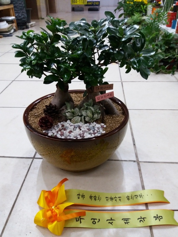 11��9��(�����)