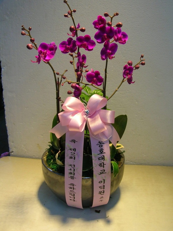 11��9��(�����)