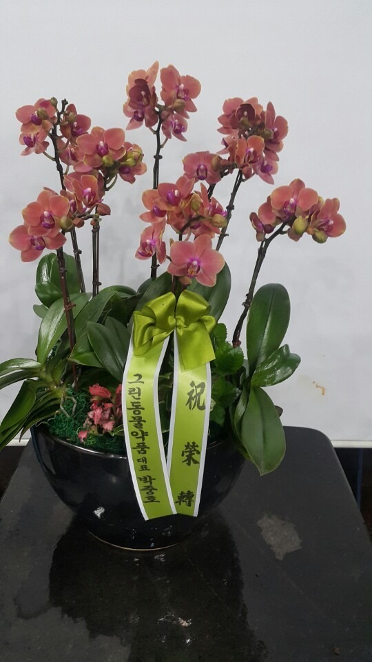 12��31��(�Ͽ���)