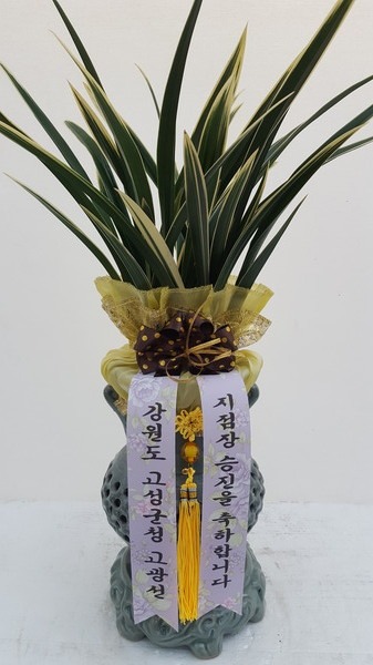 2018��1��17��(��)