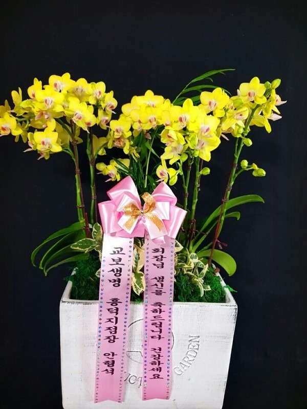 2018��1��17��(��)