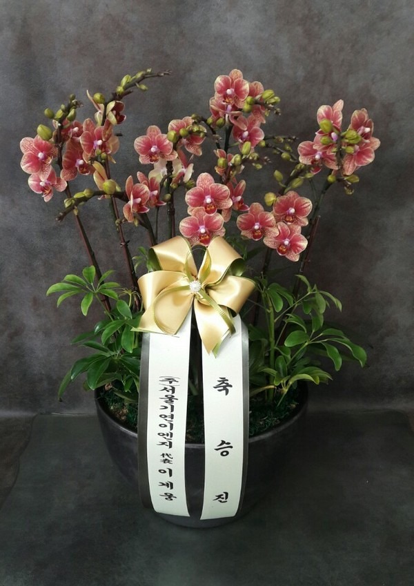 2018��1��17��(��)