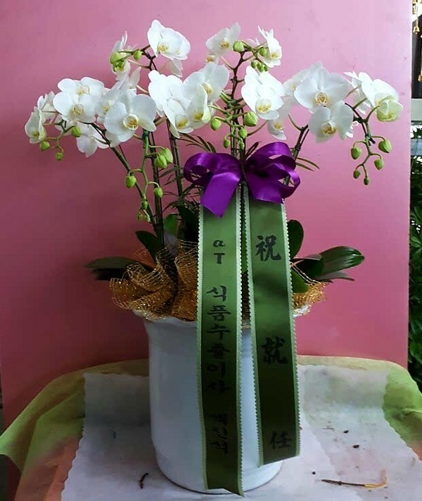 2018��1��17��(��)