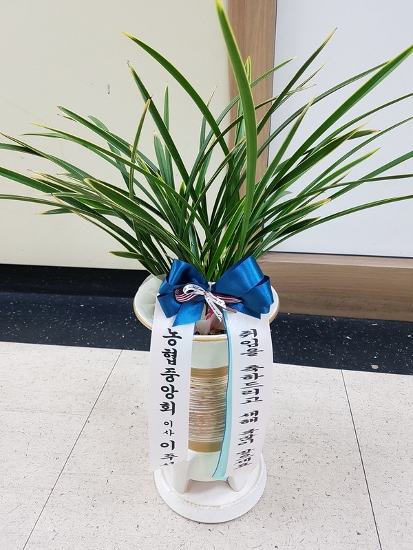 2018��1��17��(��)