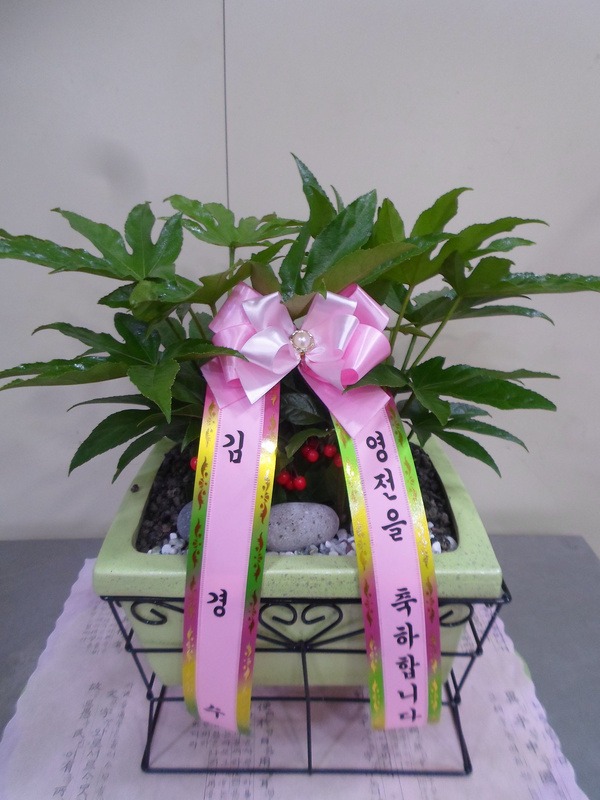 2018��1��17��(��)