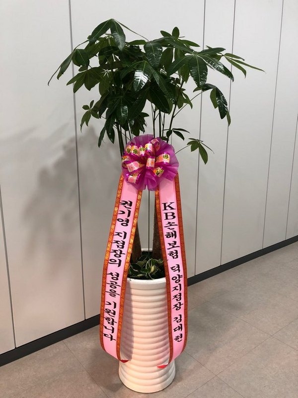 2018��1��17��(��)