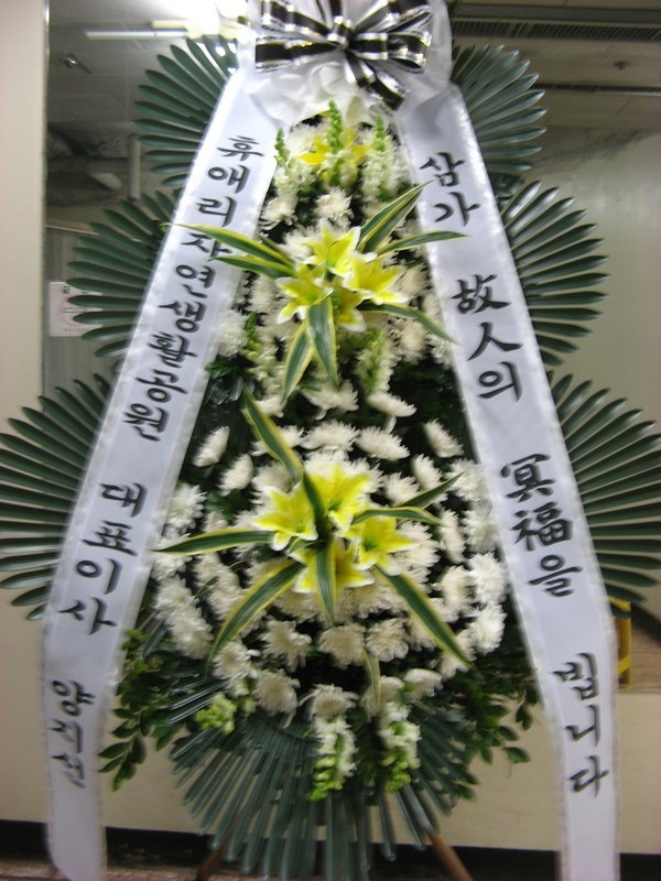 2018��1��17��(��)