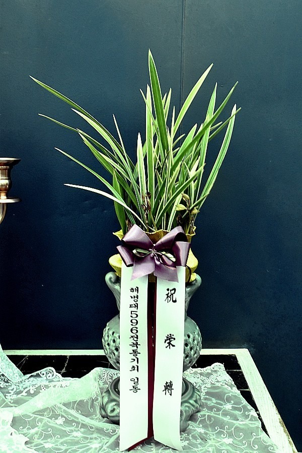 2018.2.6(ȭ����)