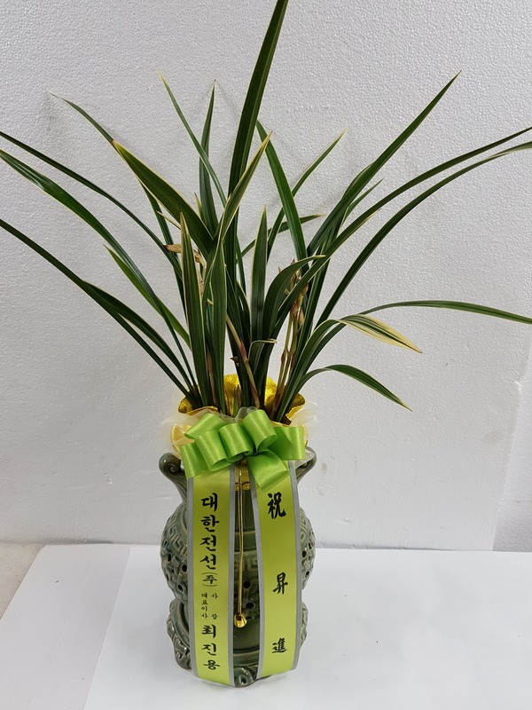 2018.2.6(ȭ����)