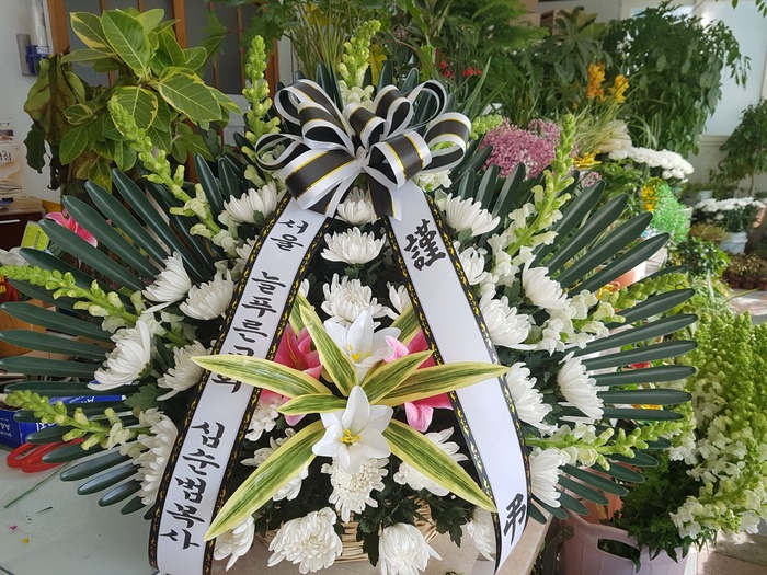 2018.2.6(ȭ����)