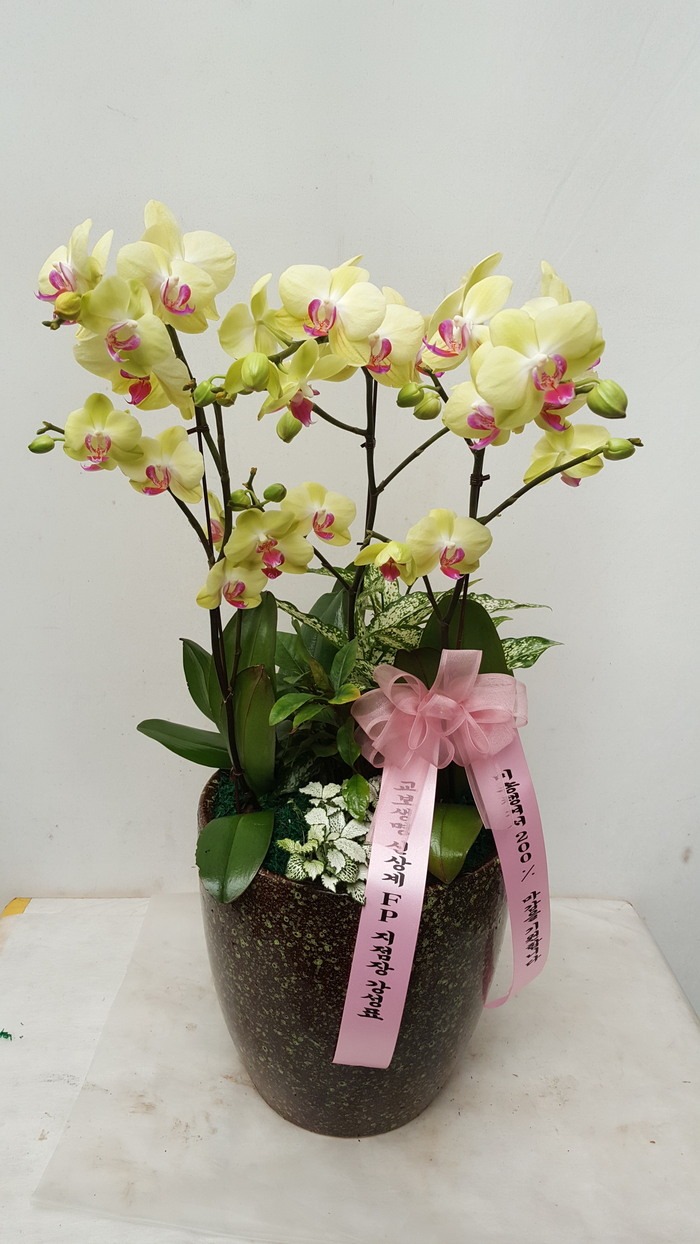 2018.2.6(ȭ����)