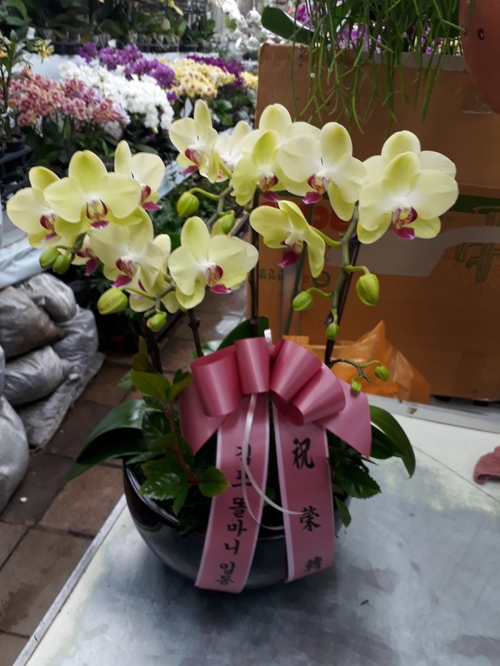 2018.2.6(ȭ����)