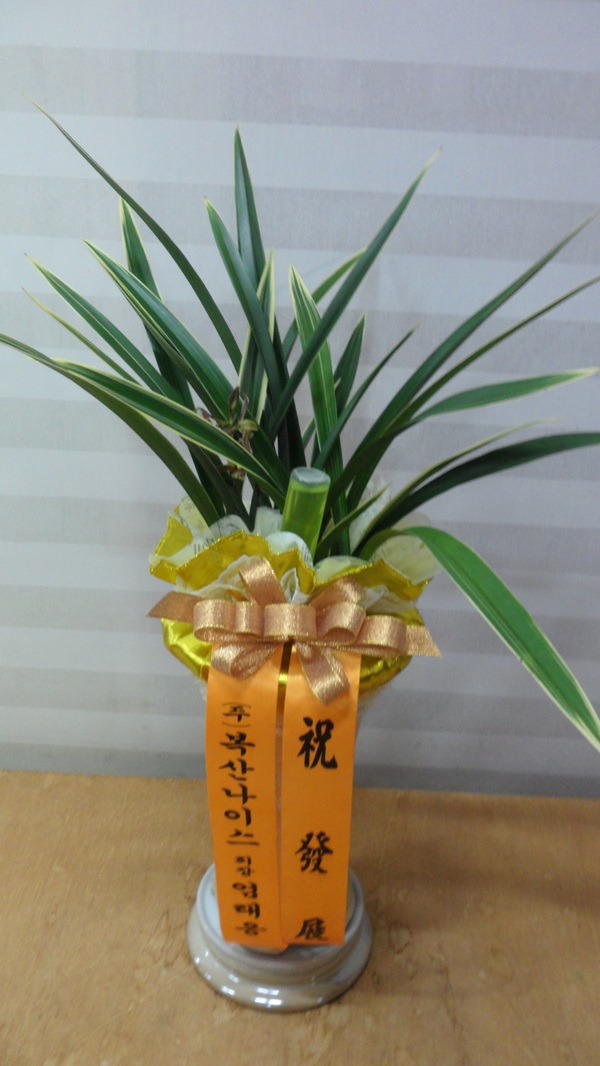 2018��2��27��(ȭ)