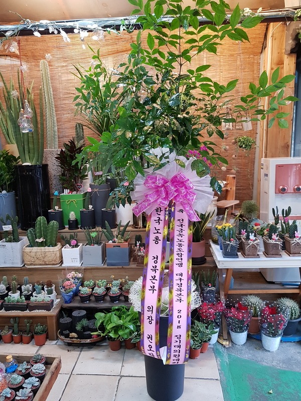 2018��2��27��(ȭ)