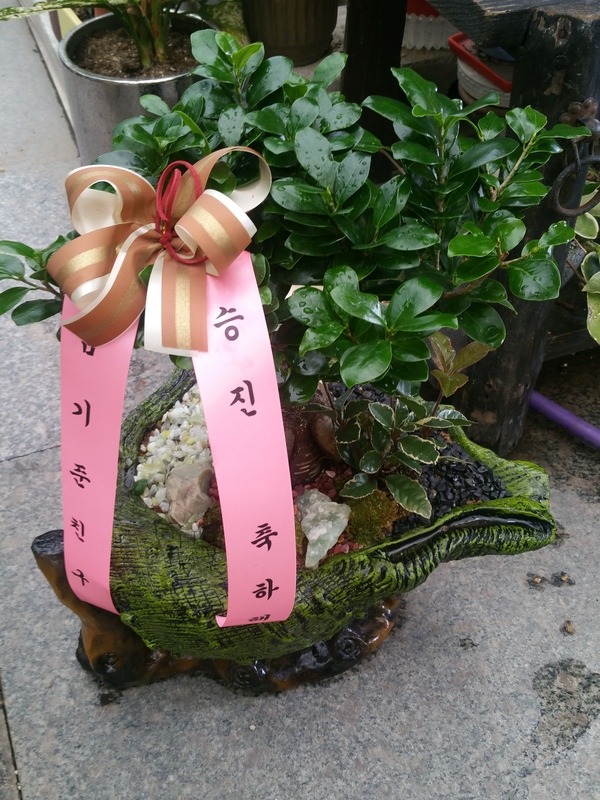 2018��2��27��(ȭ)