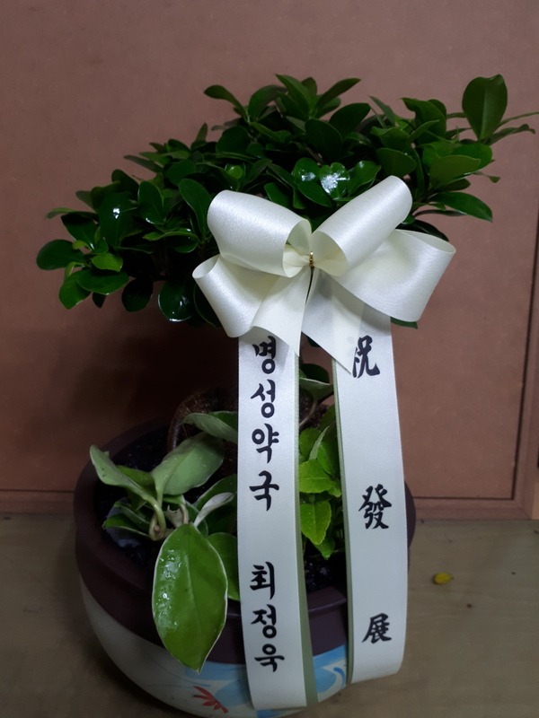 2018��2��27��(ȭ)