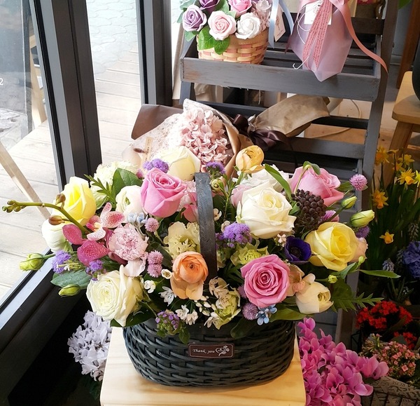 2018��2��27��(ȭ)