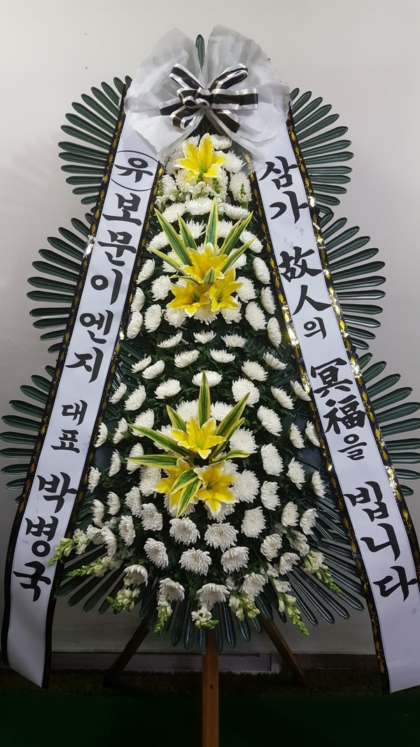 5��6��(�Ͽ���)