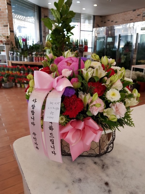 5��6��(�Ͽ���)