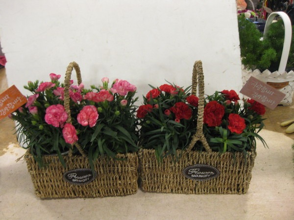 5��6��(�Ͽ���)