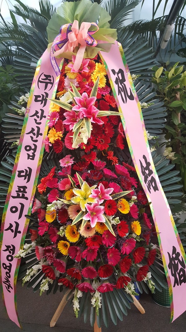 5��6��(�Ͽ���)