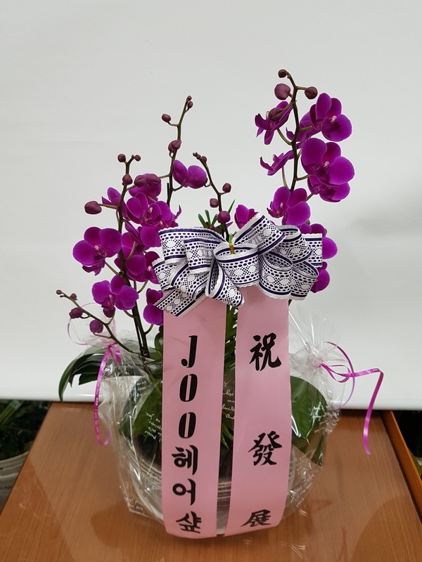 5��6��(�Ͽ���)