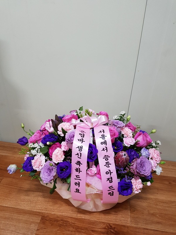 5��6��(�Ͽ���)