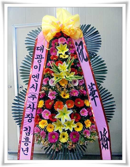 5��6��(�Ͽ���)