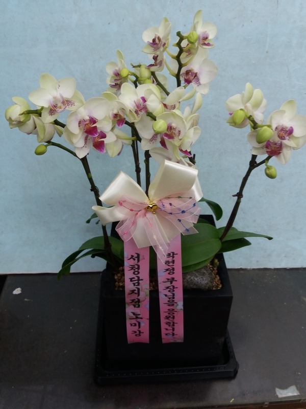 2018��8��22��(��)