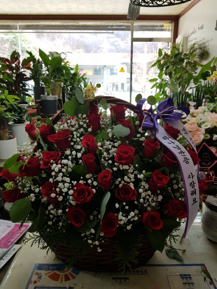 2018.11.20(ȭ����)