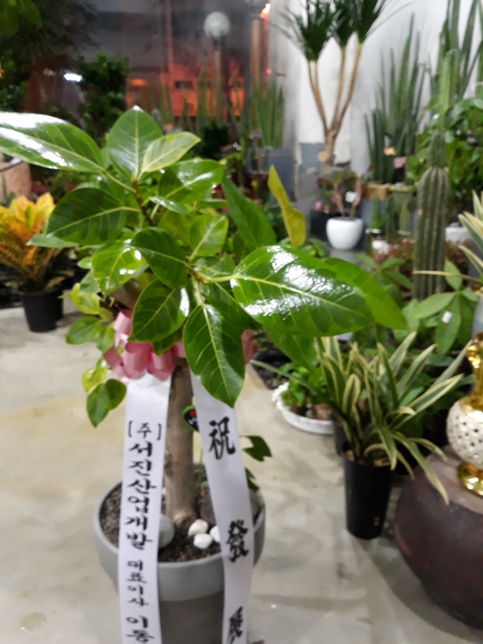 2018.11.20(ȭ����)