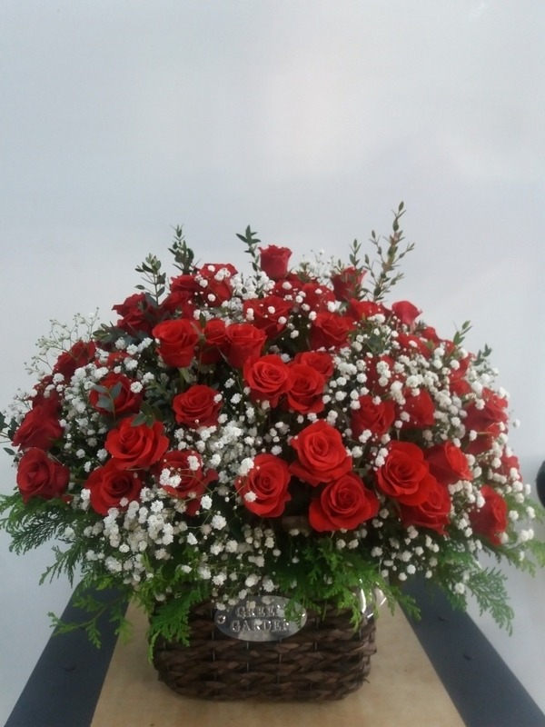 2018.11.20(ȭ����)