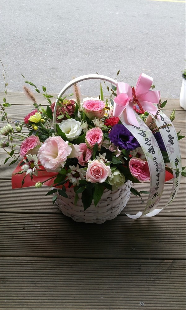 19��2��19��(�뺸��)