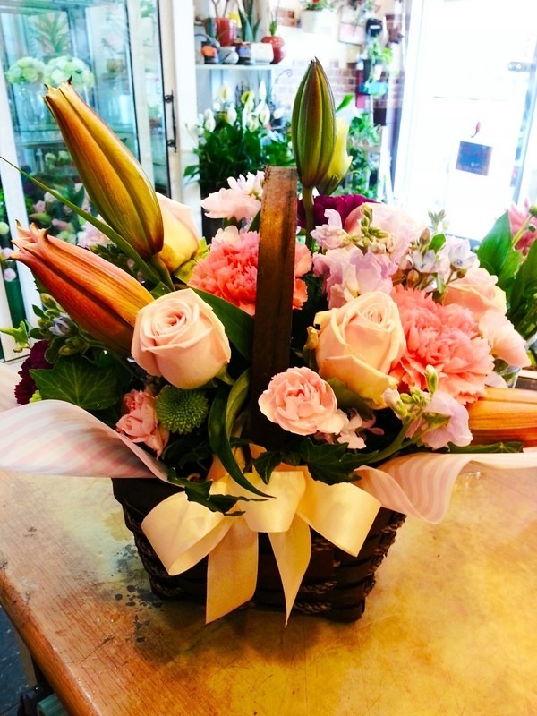 19��2��19��(�뺸��)