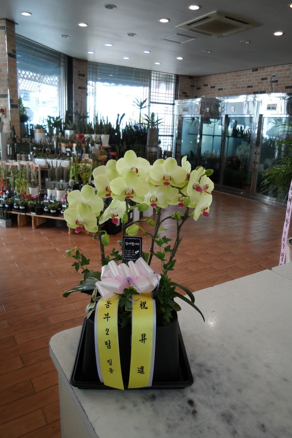 19��4��4��(�����)