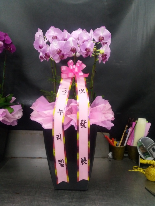 19��4��4��(�����)