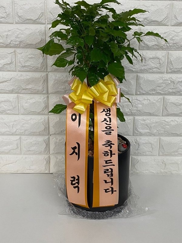 2020��5��5��(��̳�)