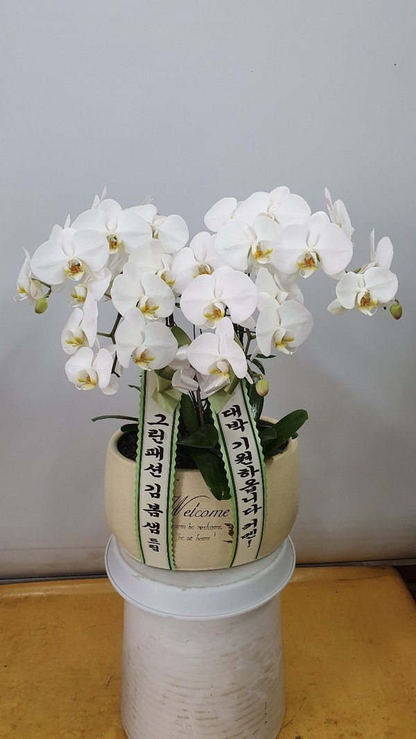 2020��5��5��(��̳�)