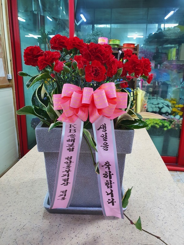 2020��5��5��(��̳�)