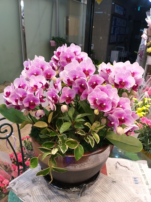 2020��5��5��(��̳�)