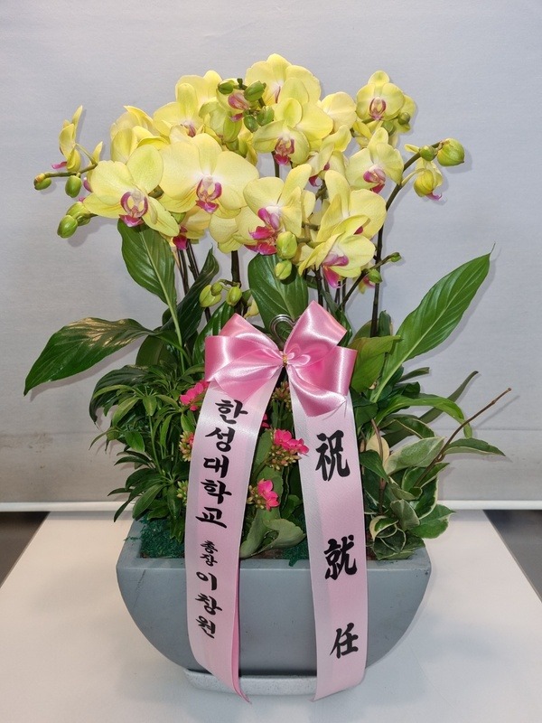 2021��4��21��(��)