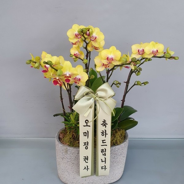 2021��4��21��(��)