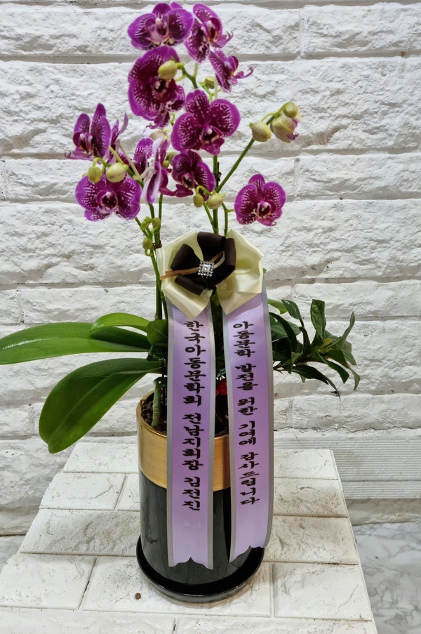 21��5��6��(�����)